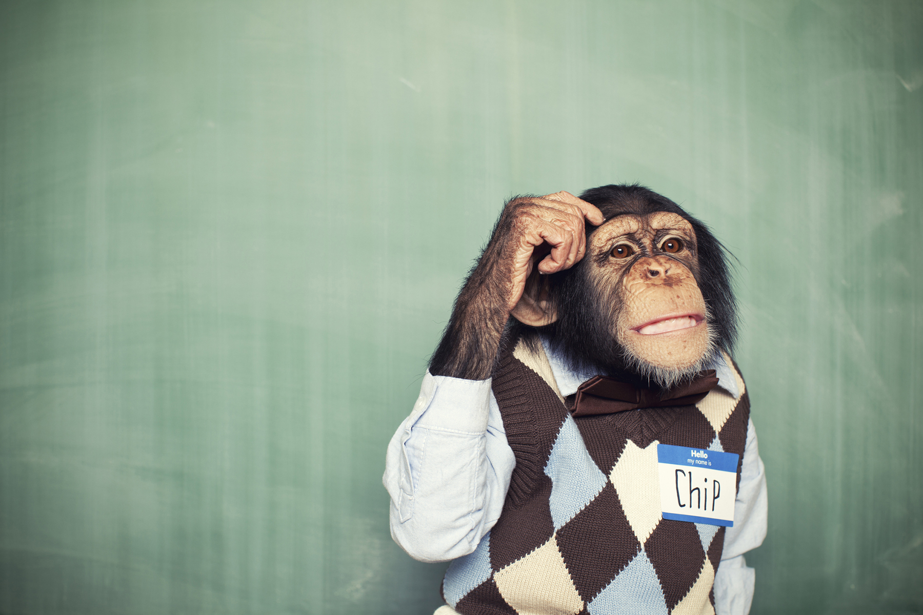 Storytelling Artevía