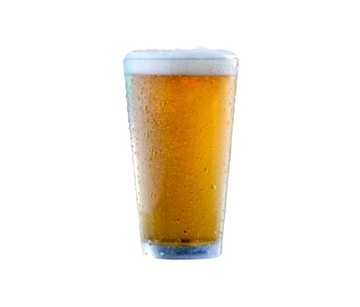 cerveza2