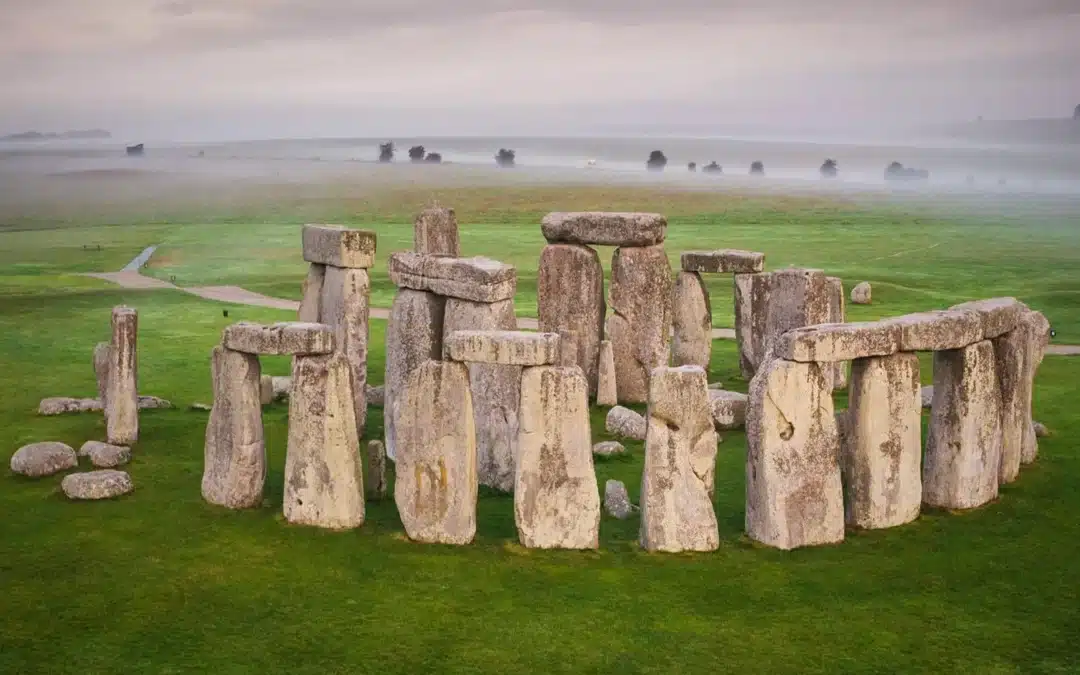 La felicidad, a veces, se desentierra